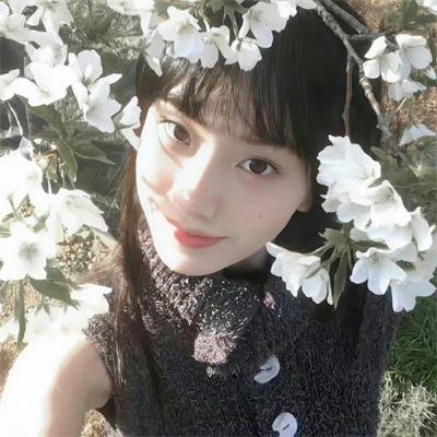 甄嬛爱不停